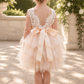 flower girl dress in champagne tulle and soft white lace sleeveless style dress.  